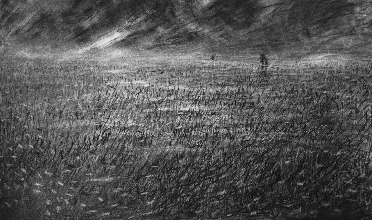 Artwork S-021 Untitled